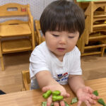 ☆5月の食育☆|大阪・上本町の保育園レオラ